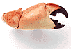Click Here to see our Stone Crabs
